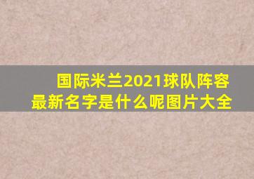 国际米兰2021球队阵容最新名字是什么呢图片大全