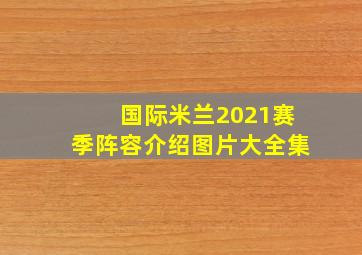 国际米兰2021赛季阵容介绍图片大全集