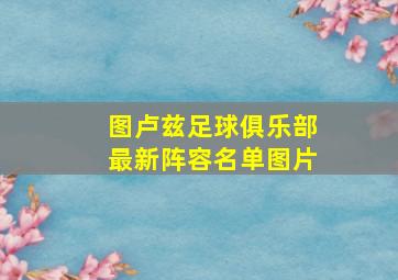 图卢兹足球俱乐部最新阵容名单图片