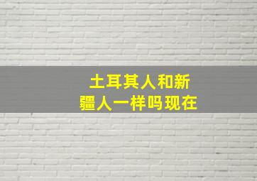 土耳其人和新疆人一样吗现在