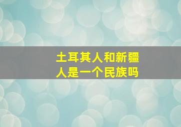 土耳其人和新疆人是一个民族吗