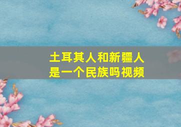 土耳其人和新疆人是一个民族吗视频