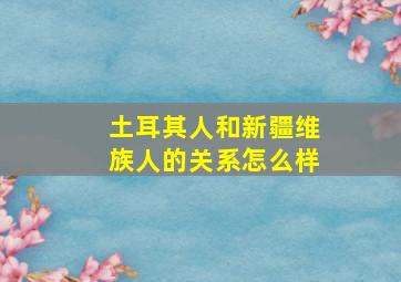 土耳其人和新疆维族人的关系怎么样