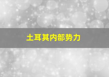 土耳其内部势力