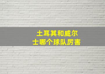 土耳其和威尔士哪个球队厉害