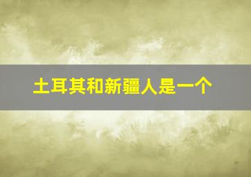 土耳其和新疆人是一个