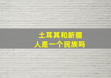 土耳其和新疆人是一个民族吗