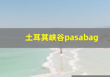 土耳其峡谷pasabag