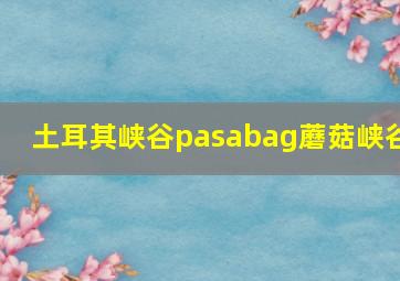 土耳其峡谷pasabag蘑菇峡谷