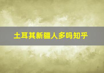 土耳其新疆人多吗知乎