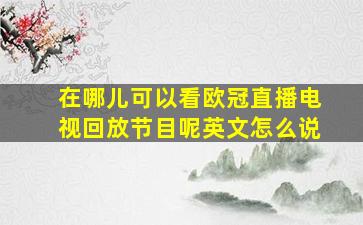 在哪儿可以看欧冠直播电视回放节目呢英文怎么说