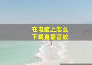 在电脑上怎么下载直播音效