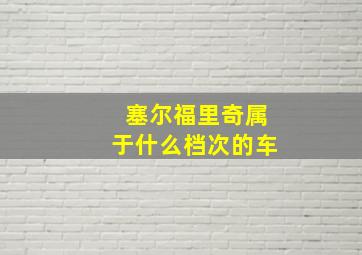 塞尔福里奇属于什么档次的车