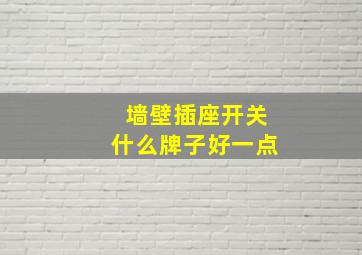 墙壁插座开关什么牌子好一点