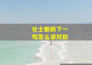 壮士断腕下一句怎么讲对称