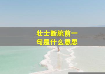 壮士断腕前一句是什么意思