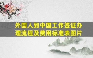 外国人到中国工作签证办理流程及费用标准表图片