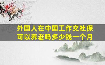 外国人在中国工作交社保可以养老吗多少钱一个月