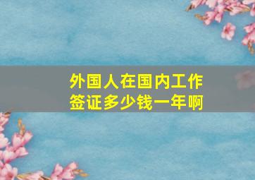 外国人在国内工作签证多少钱一年啊