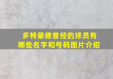 多特蒙德曾经的球员有哪些名字和号码图片介绍