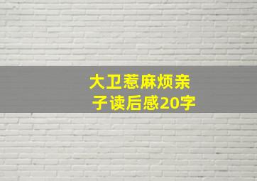 大卫惹麻烦亲子读后感20字