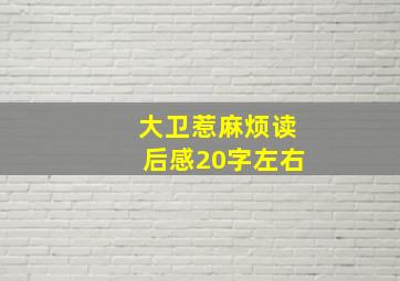 大卫惹麻烦读后感20字左右