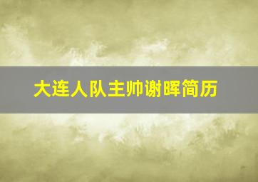 大连人队主帅谢晖简历