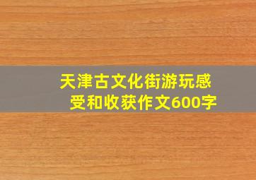 天津古文化街游玩感受和收获作文600字