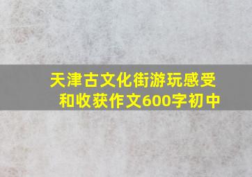 天津古文化街游玩感受和收获作文600字初中