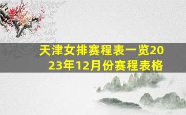 天津女排赛程表一览2023年12月份赛程表格