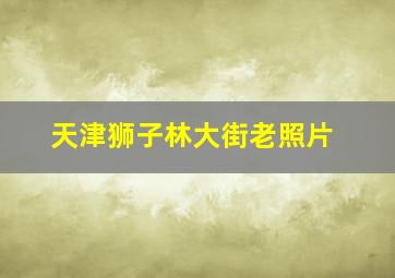 天津狮子林大街老照片