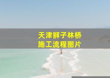 天津狮子林桥施工流程图片