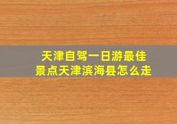 天津自驾一日游最佳景点天津滨海县怎么走