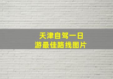 天津自驾一日游最佳路线图片