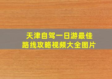 天津自驾一日游最佳路线攻略视频大全图片