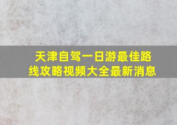 天津自驾一日游最佳路线攻略视频大全最新消息