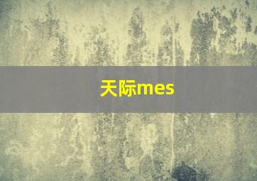 天际mes