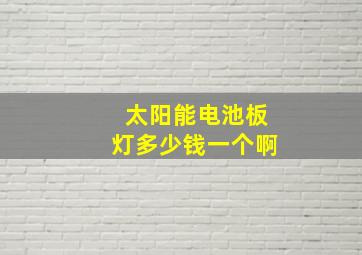 太阳能电池板灯多少钱一个啊