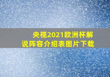 央视2021欧洲杯解说阵容介绍表图片下载