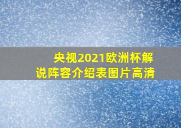 央视2021欧洲杯解说阵容介绍表图片高清