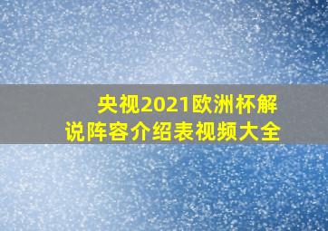 央视2021欧洲杯解说阵容介绍表视频大全