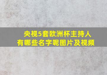 央视5套欧洲杯主持人有哪些名字呢图片及视频