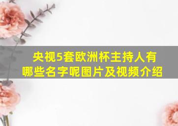 央视5套欧洲杯主持人有哪些名字呢图片及视频介绍