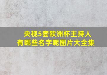 央视5套欧洲杯主持人有哪些名字呢图片大全集