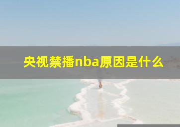 央视禁播nba原因是什么