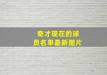 奇才现在的球员名单最新图片