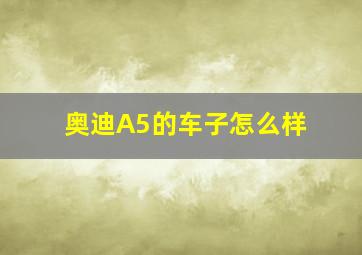 奥迪A5的车子怎么样