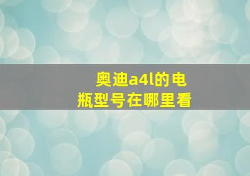 奥迪a4l的电瓶型号在哪里看