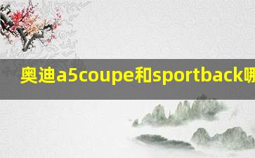 奥迪a5coupe和sportback哪个好