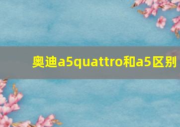 奥迪a5quattro和a5区别